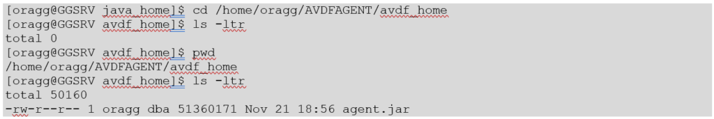 cpy_agnt_to_loc