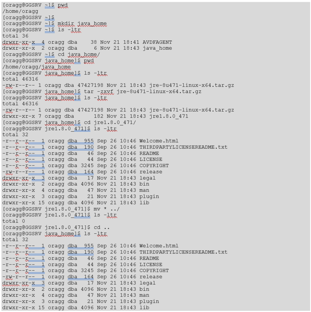 java_unzip_ggsrv