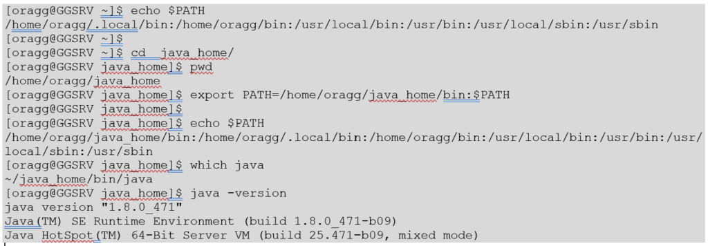 java_unzip_ggsrv_verf